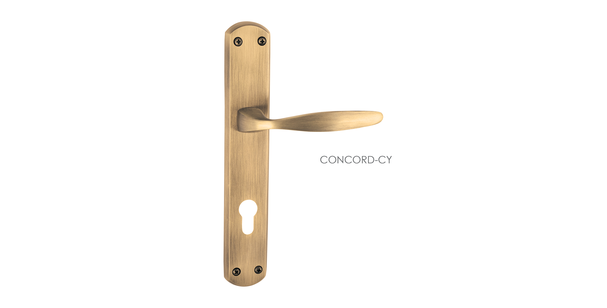 Fusion Mortise Door Handle & Lock On Plate  For Bungalows