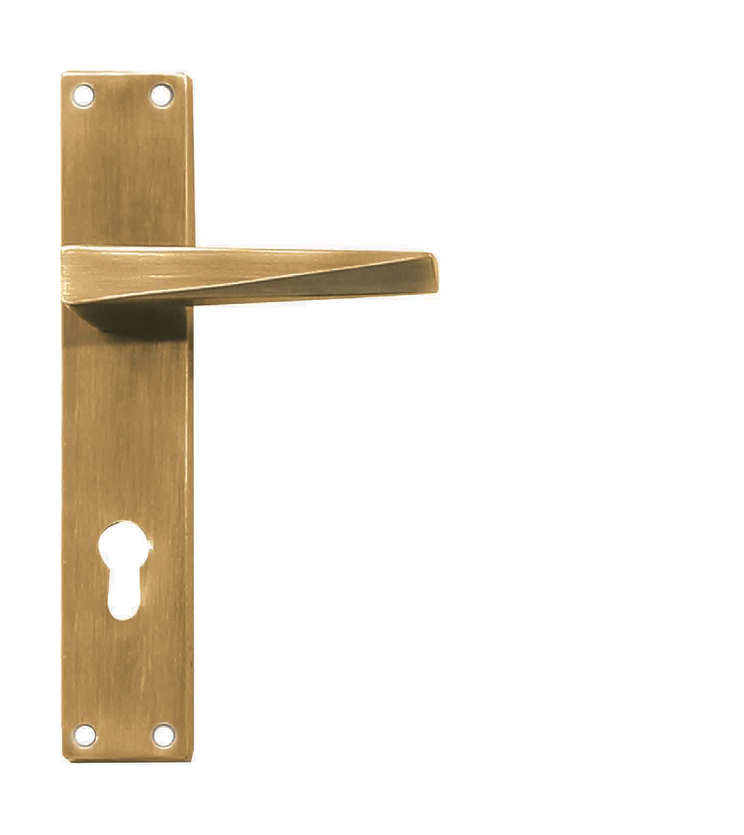 Stylish mortise door handle and lock on plate  for homes