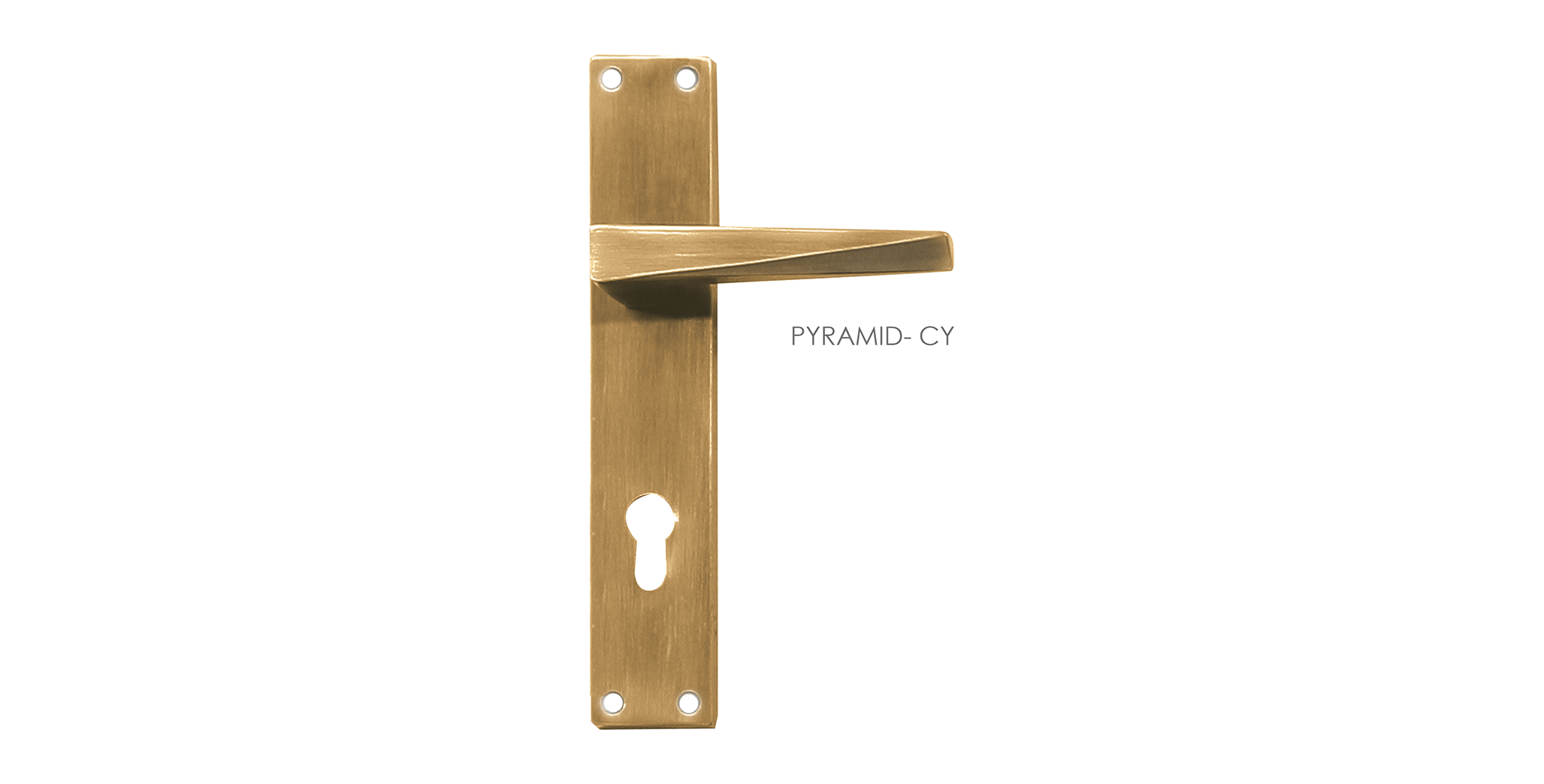 Stylish Mortise Door Handle & Lock On Plate  For Homes