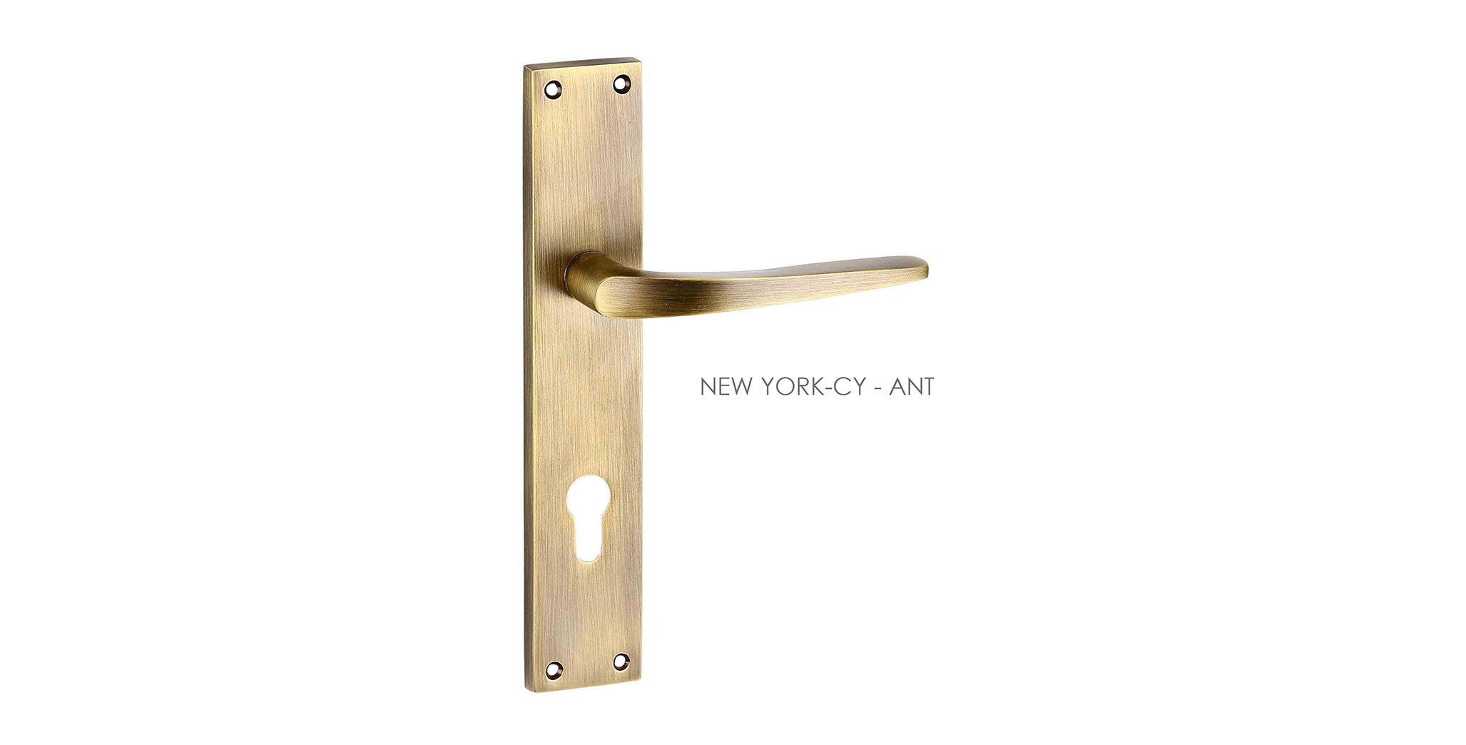 Fusion Mortise Door Handle & Lock On Plate  For Resorts