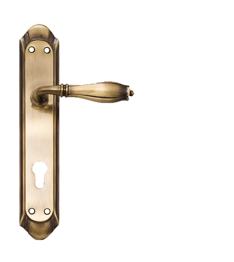 Indian mortise door handle and lock on plate  for resorts