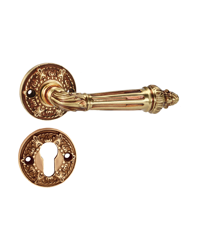 Indian mortise door handle and lock on rosette for apartments