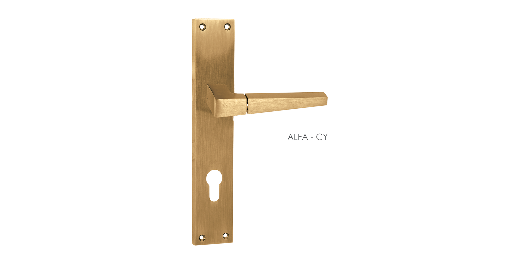 Indian Mortise Door Handle & Lock On Plate  For Hotels