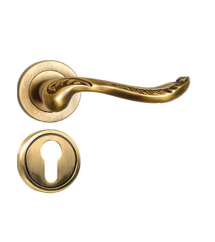 Beautiful mortise door handle and lock on rosette for villa