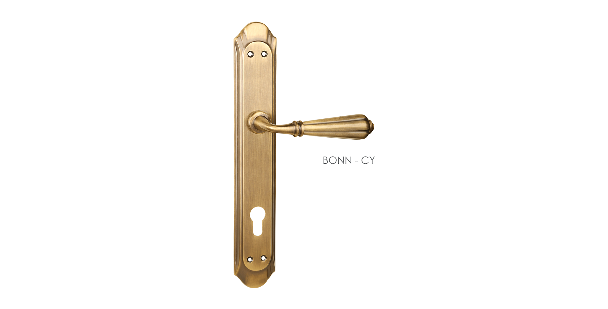 Beautiful Mortise Door Handle & Lock On Plate  For Bungalows