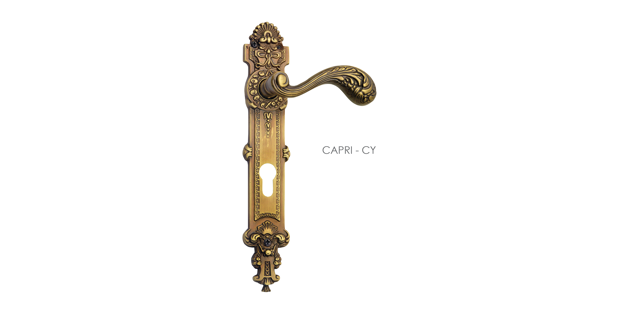 Big Mortise Door Handle On Plate For Chateaus