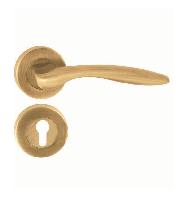 Black, gold, silver and rose gold mortise door handle and lock on rosette for bungalows