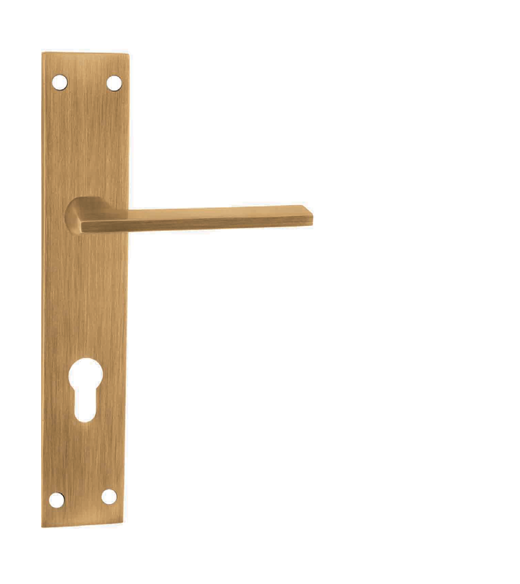 Brass mortise door handle and lock on plate  for restaurants