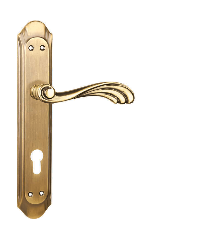 Carved mortise door handle and lock on plate  for chateaus