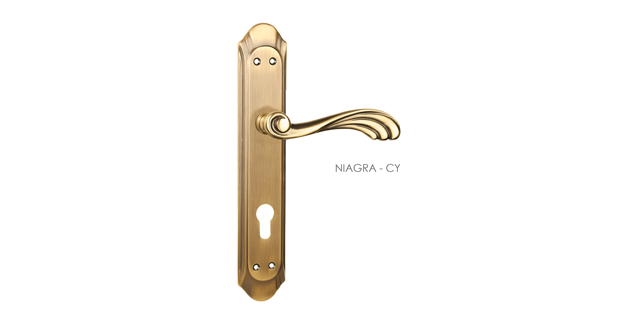 Carved Mortise Door Handle & Lock On Plate  For Chateaus