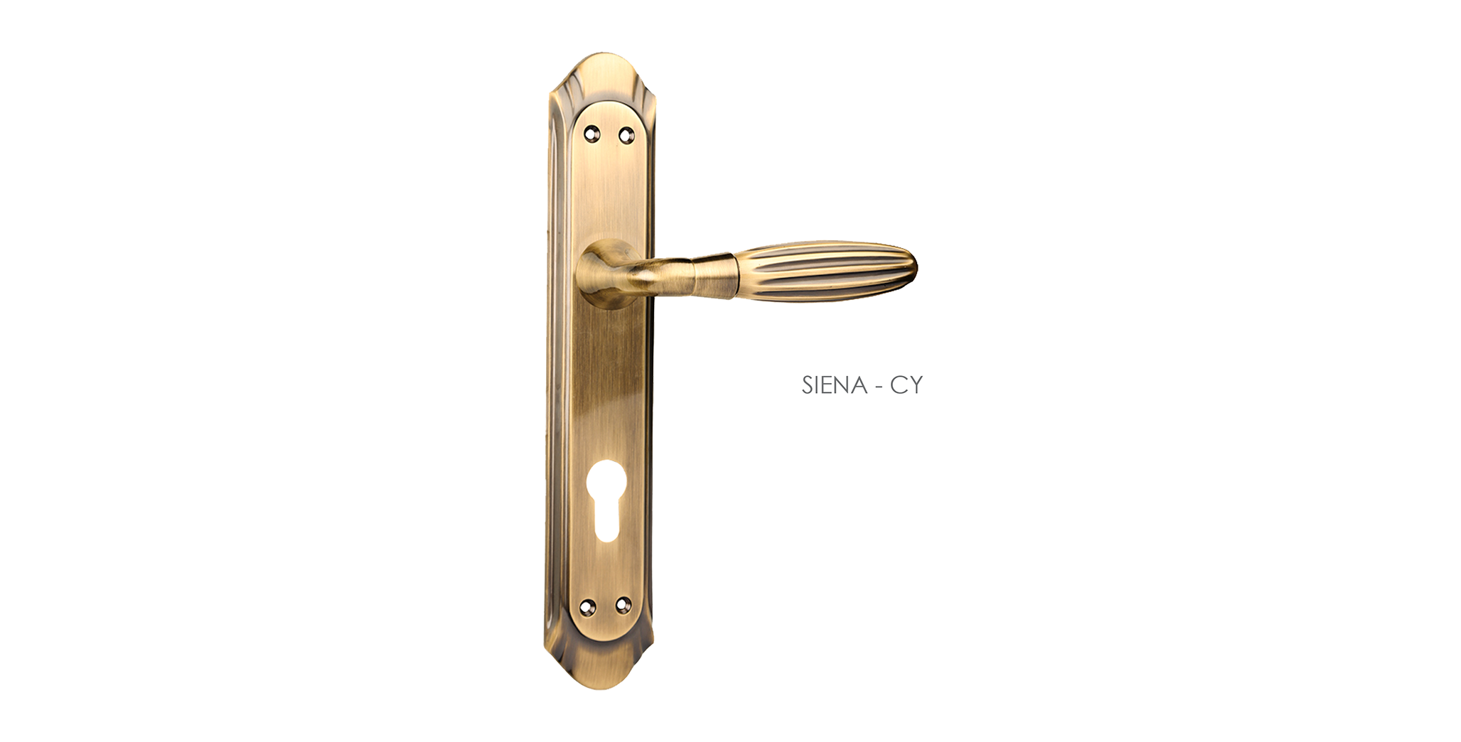 Classic Mortise Door Handle & Lock On Plate  For Houses