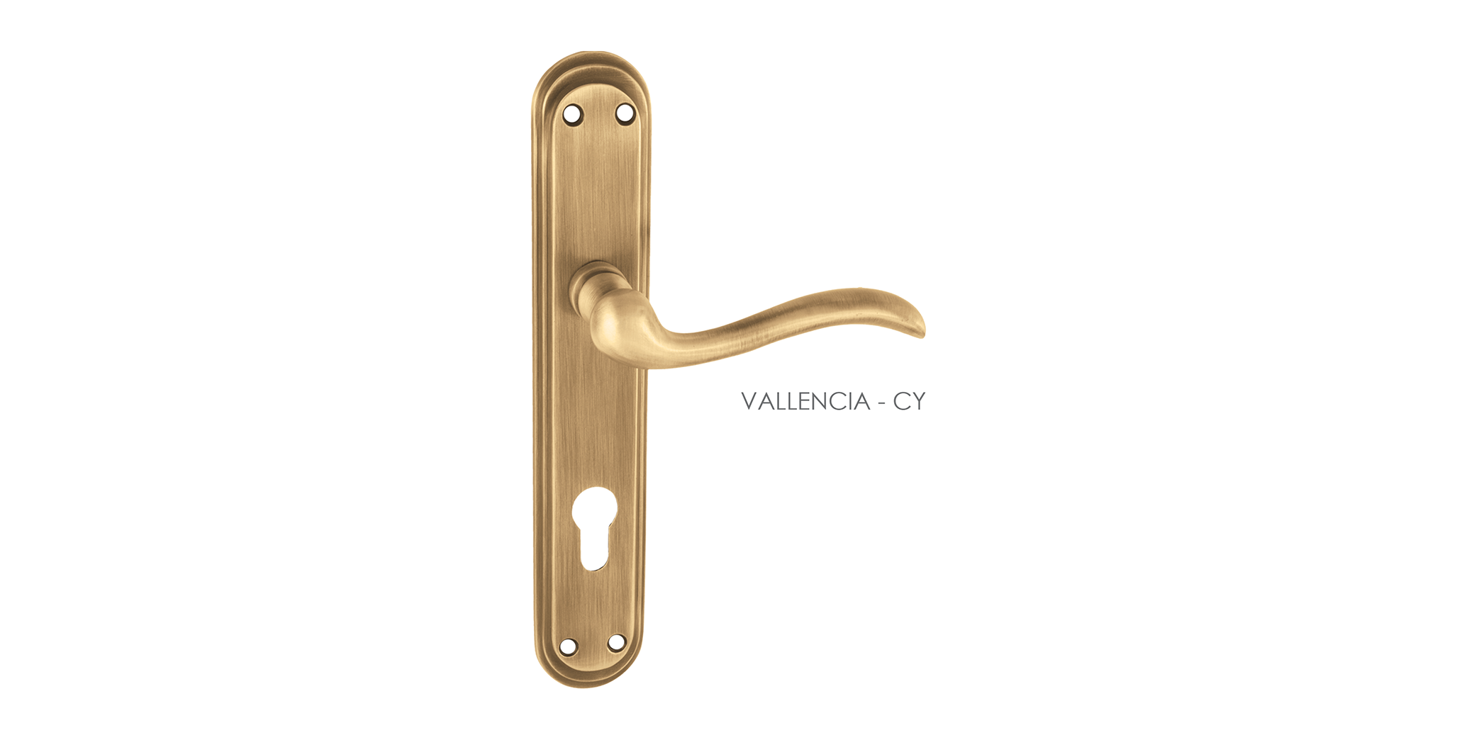 Designer Mortise Door Handle & Lock On Plate  For Chateaus