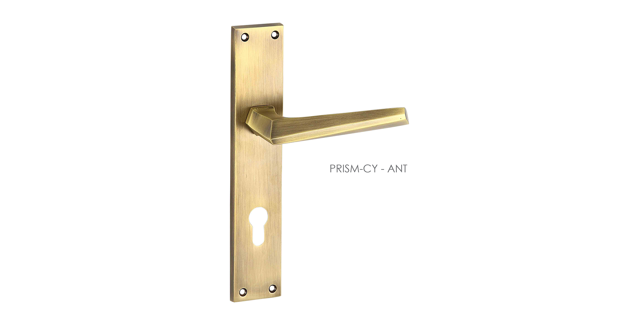 Customised Mortise Door Handle & Lock On Plate  For Chateaus