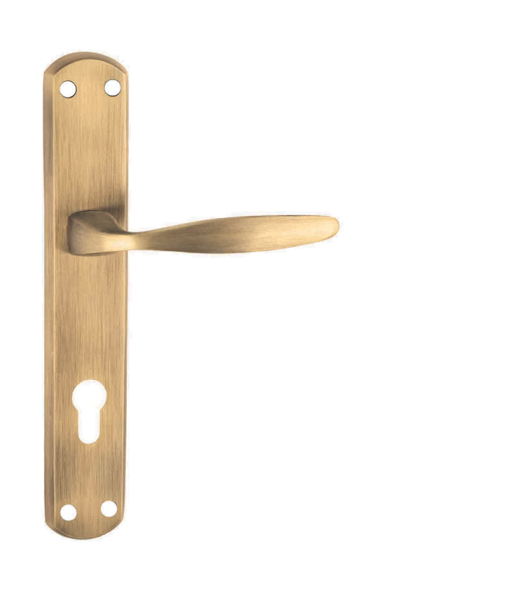 Fusion mortise door handle and lock on plate  for bungalows