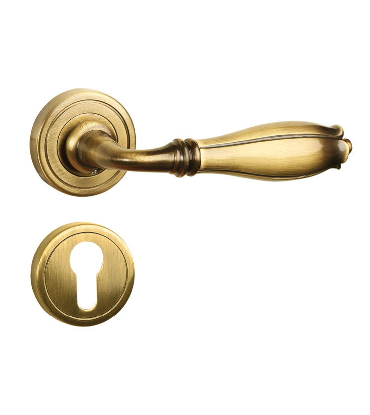 Fusion mortise door handle and lock on rosette for chateaus