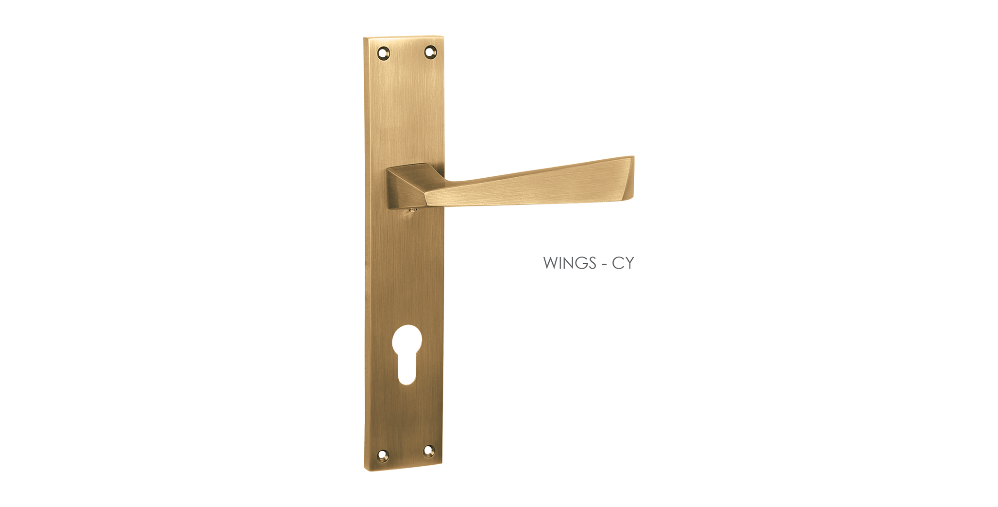 Hand Made Mortise Door Handle & Lock On Plate  For Restaurants