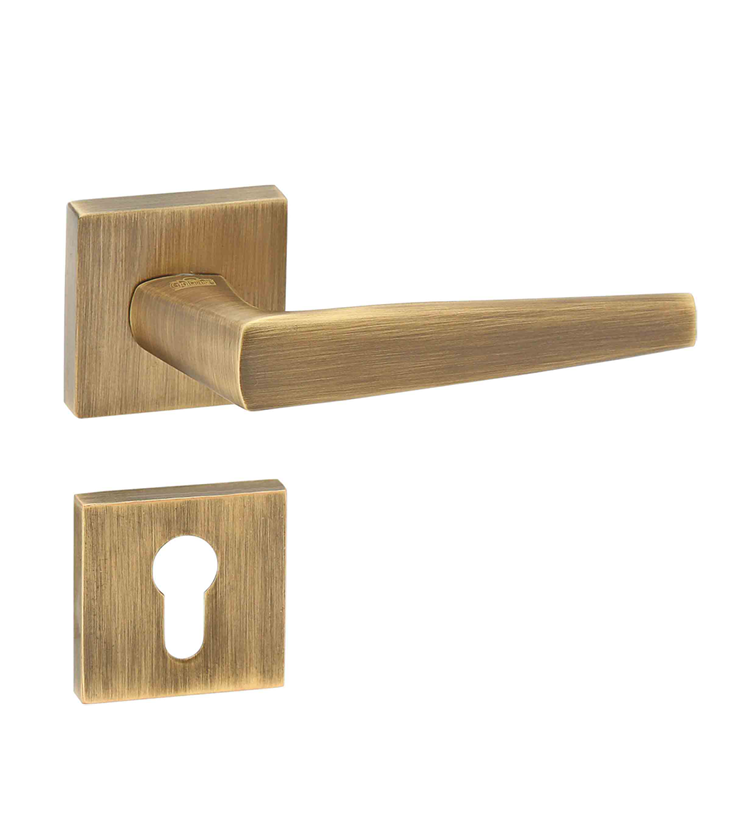 Abstract mortise door handle and lock on rosette for apartments
