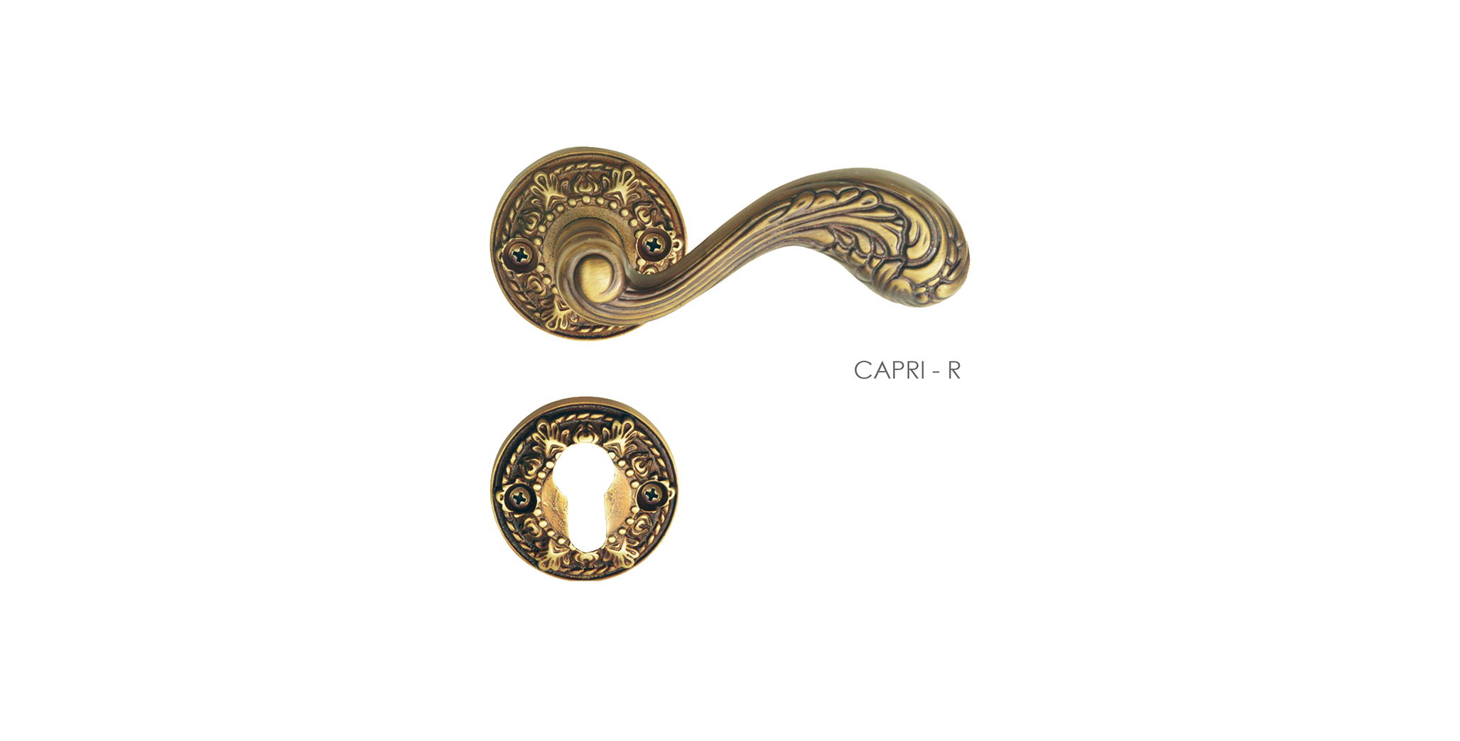 French Mortise Door Handle & Lock On Rosette For Homes