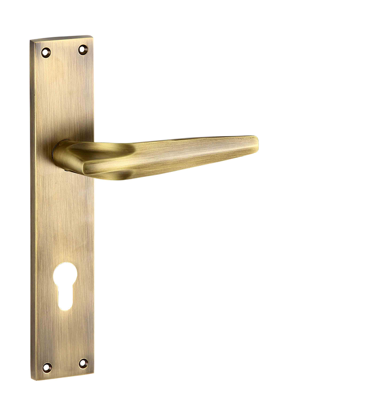 Modern mortise door handle and lock on plate  for chateaus