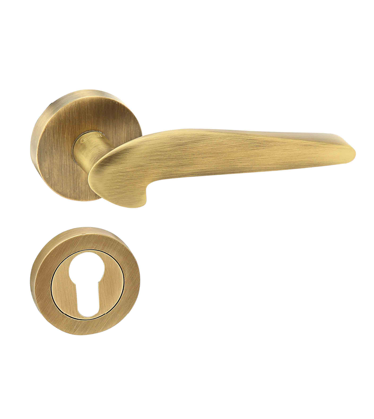 Sleek mortise door handle and lock on rosette for resorts