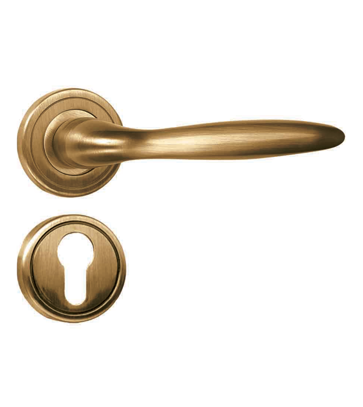 Small mortise door handle and lock on rosette for homes