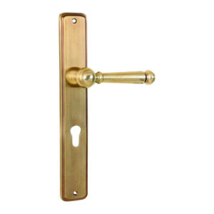 Classical Design Door Handles on Plate