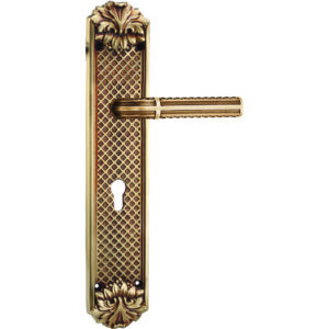 Antique Door Handle On Plate For Villas